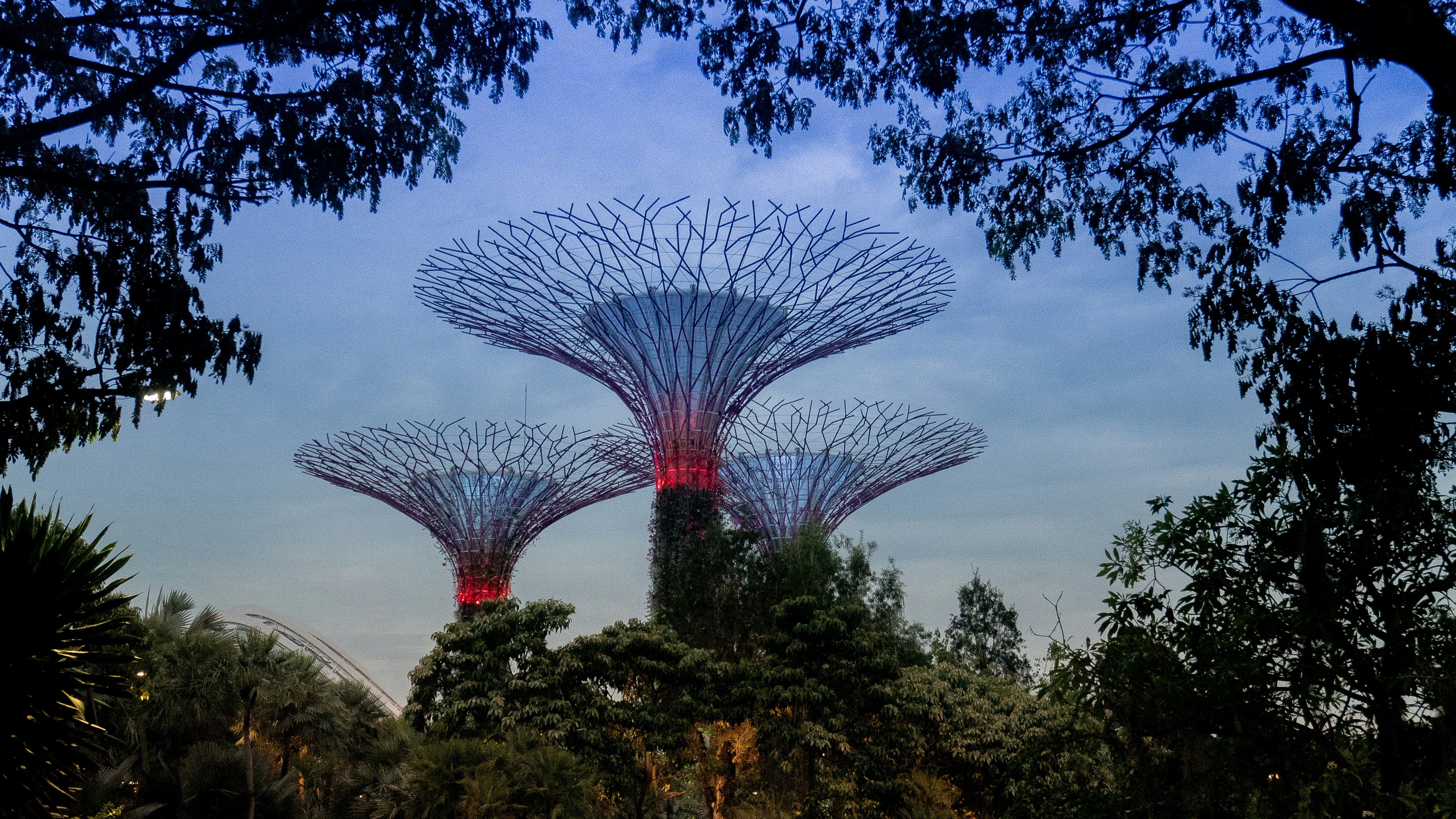 Gardens by the Bay